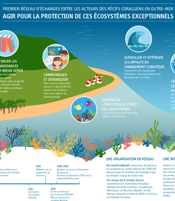 thumb julie beal infographie ifrecor